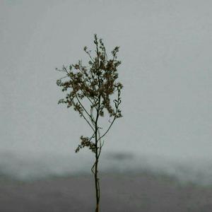 百姓大众澡堂子AV在线
