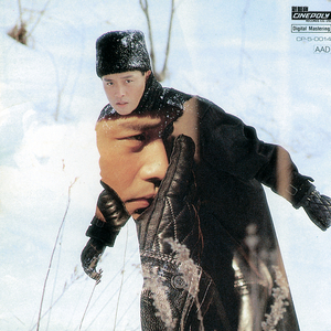 午夜福利激情短视频在线
