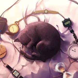 午夜福利激情短视频在线
