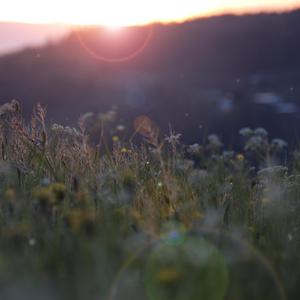 哥哥妹妹完整版伦理片
