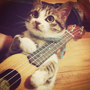 玛奇玛被❌喷水自慰漫画
