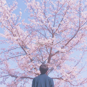 商品图营销小鸡导航
