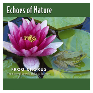 chinese熟女老女人和小伙
