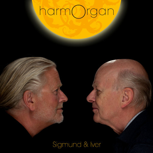 商品图营销小鸡导航
